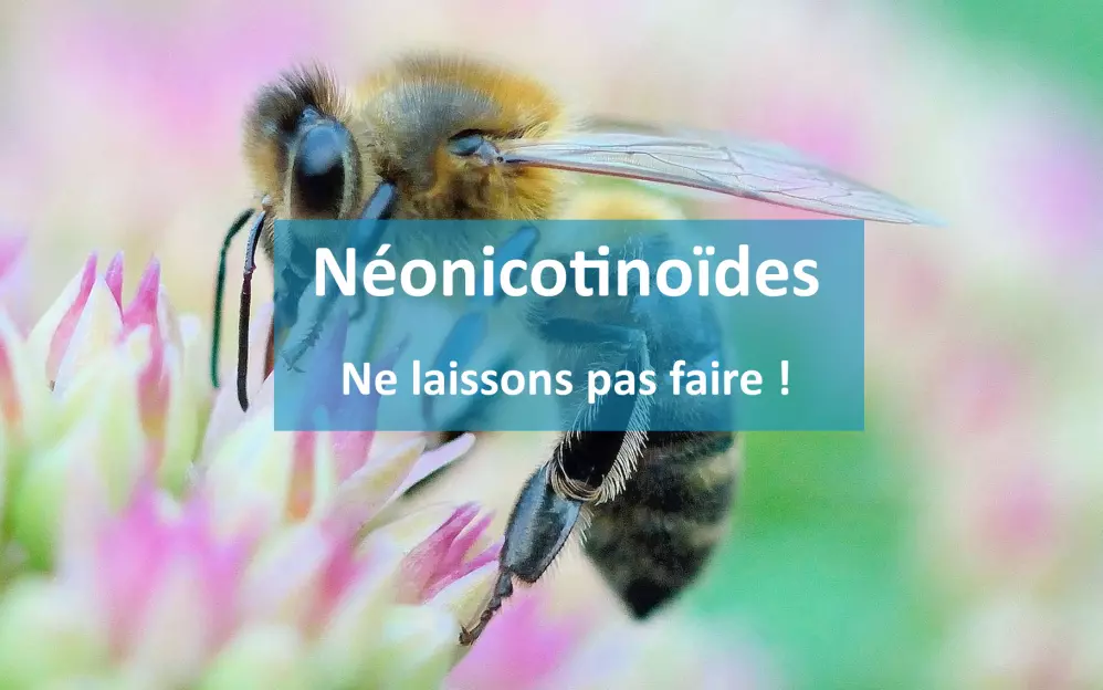 2018050-nelaissonpasfaire-abeille-2