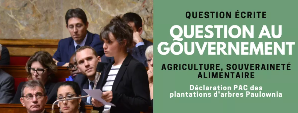 agriculture-pacplantationarbres
