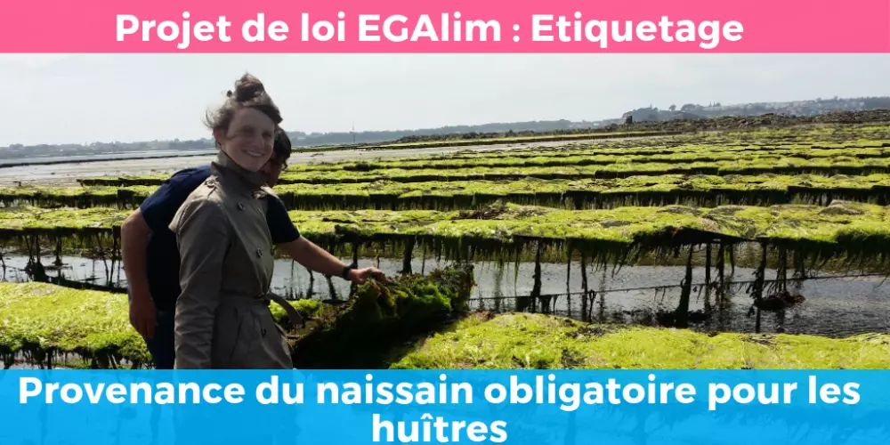 egalim-etiquetage-huitres-provenancedunaissin-2