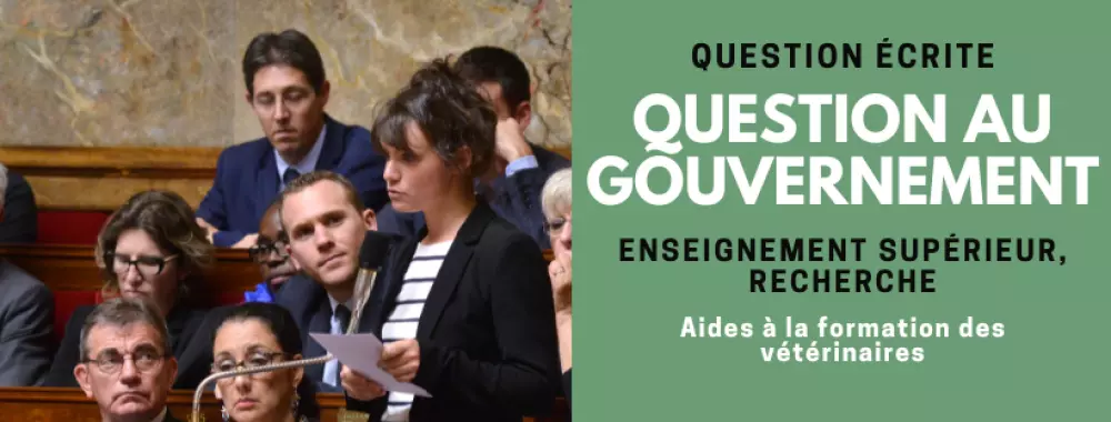 enseignementrecherche-formationveterinaires