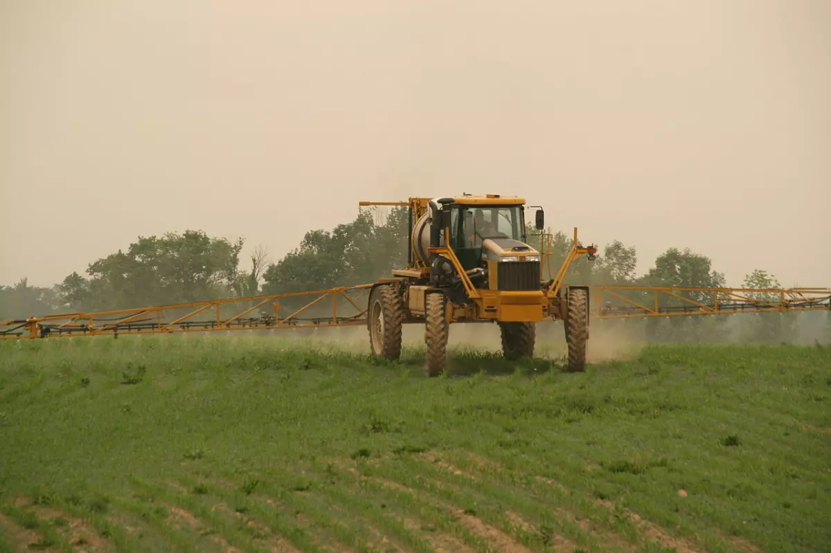 glyphosate