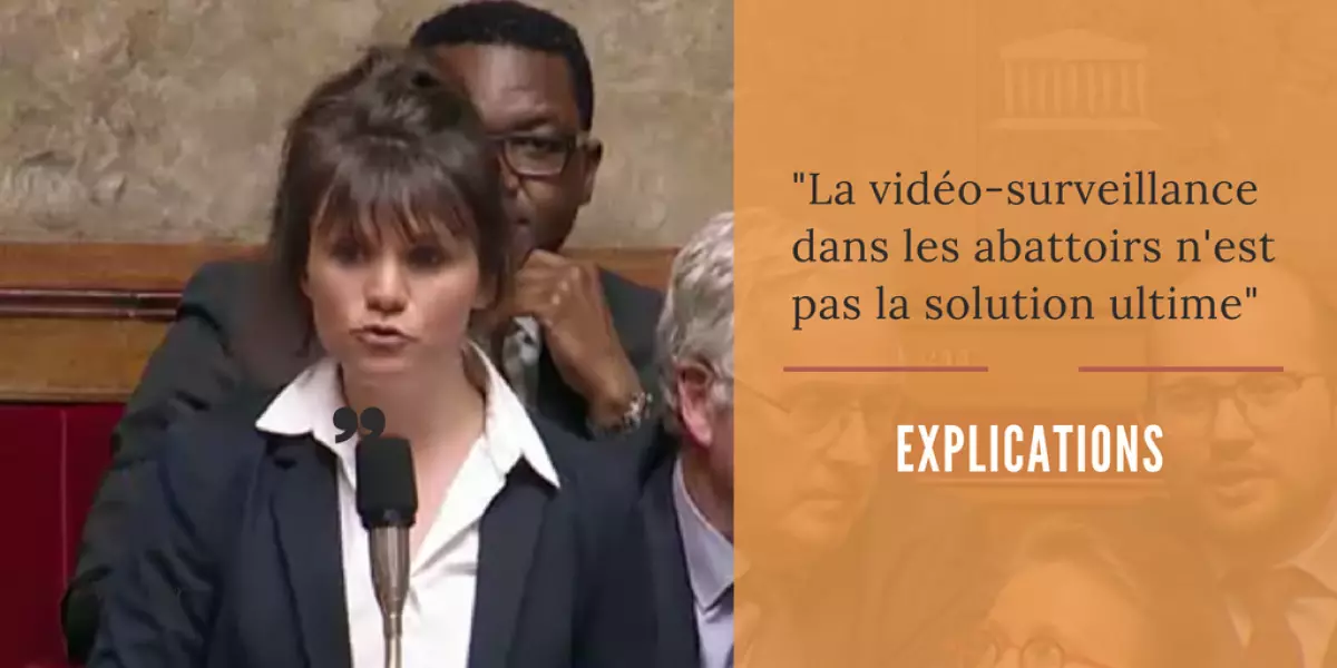 _la-video-surveillancedans-les-abattoirs-nest-pas-la-solution_-1
