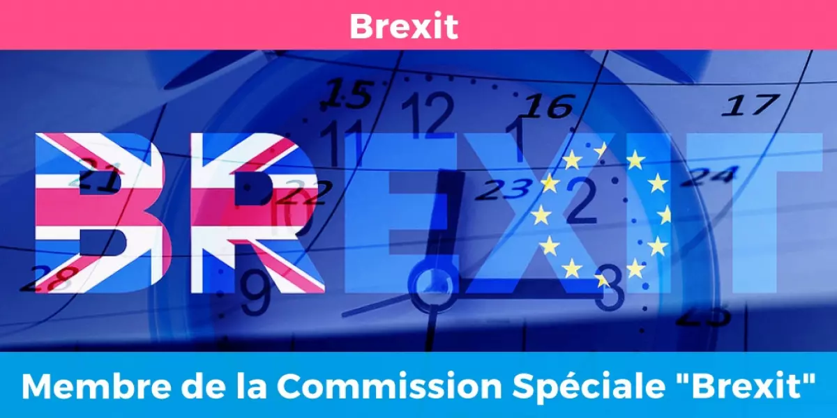 missioninformationbrexit-3