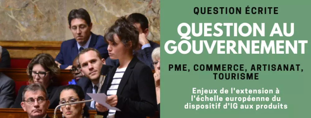 pme-enjeuxextensionunion-igp-artisanatindustrie
