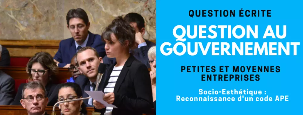 petitesetmoyennesentreprises-socioesthetique-codeape