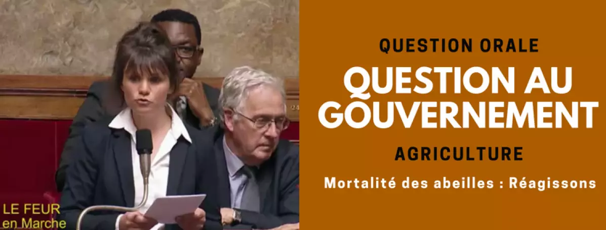 qag-agri-abeilles