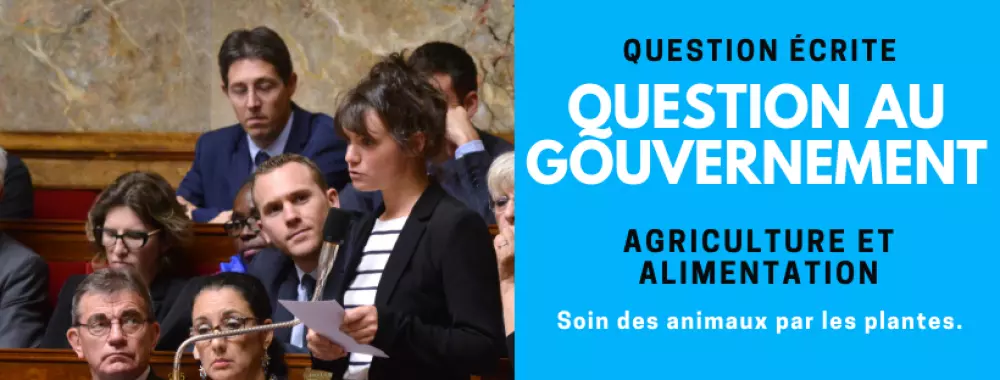 qag-agriculturealimentation-soinanimauxparlesplantes