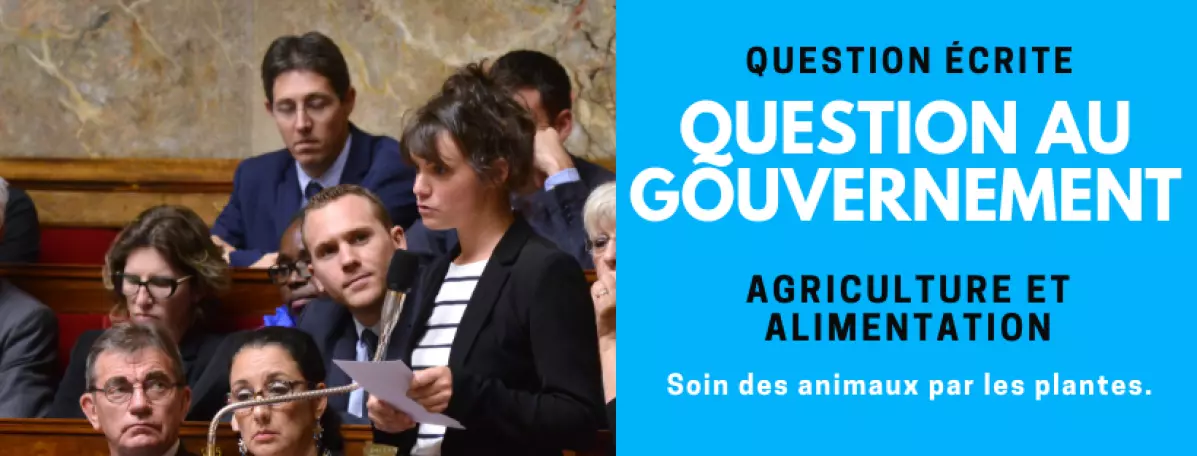 qag-agriculturealimentation-soinanimauxparlesplantes