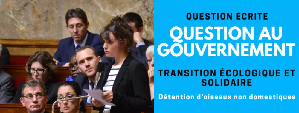qag-transisitionecologique-detentionoiseauxnondomestiques