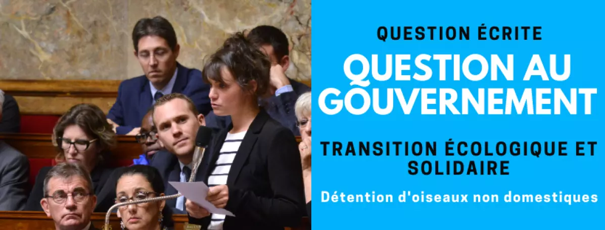 qag-transisitionecologique-detentionoiseauxnondomestiques