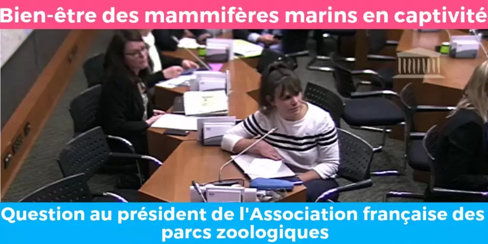 questionpresidentparcszoologiques-2