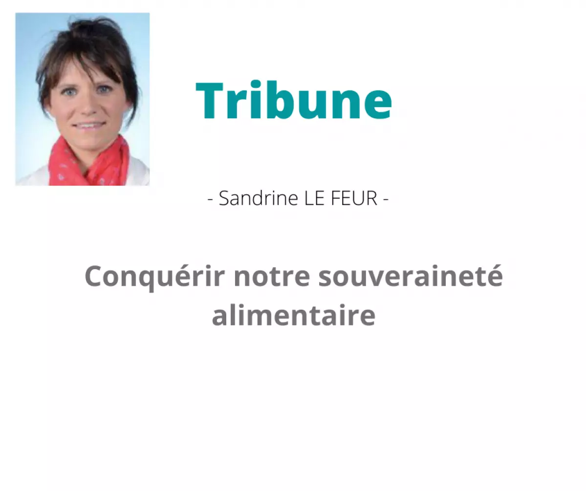 tribune