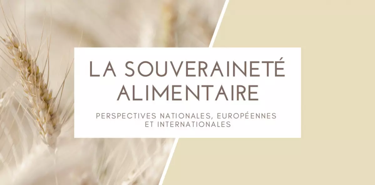 featuredimage-rp-alimentation-2