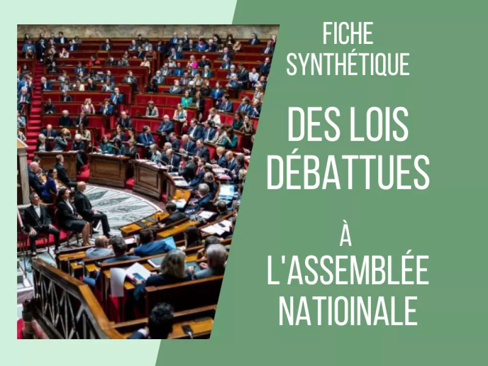 fiche-synthetique-des-lois-votees-a-lassemblee-natioinale