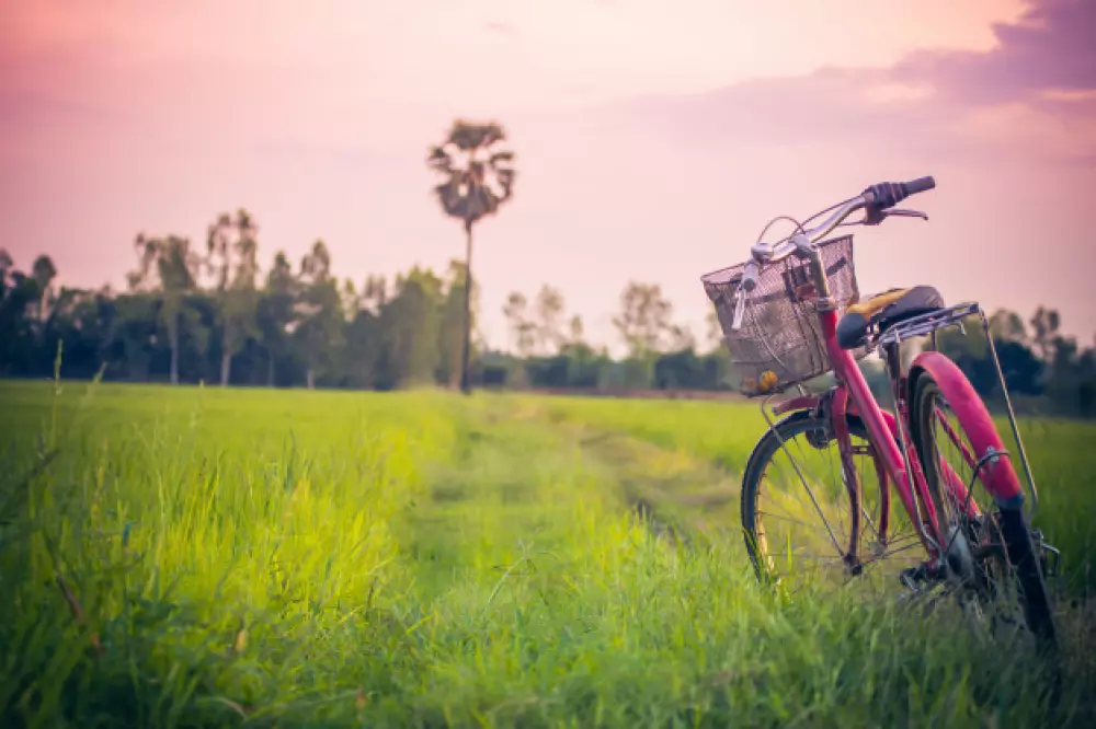 landscape-picture-vintage-bicycle-with-summer-grass-field-sunset_38363-10
